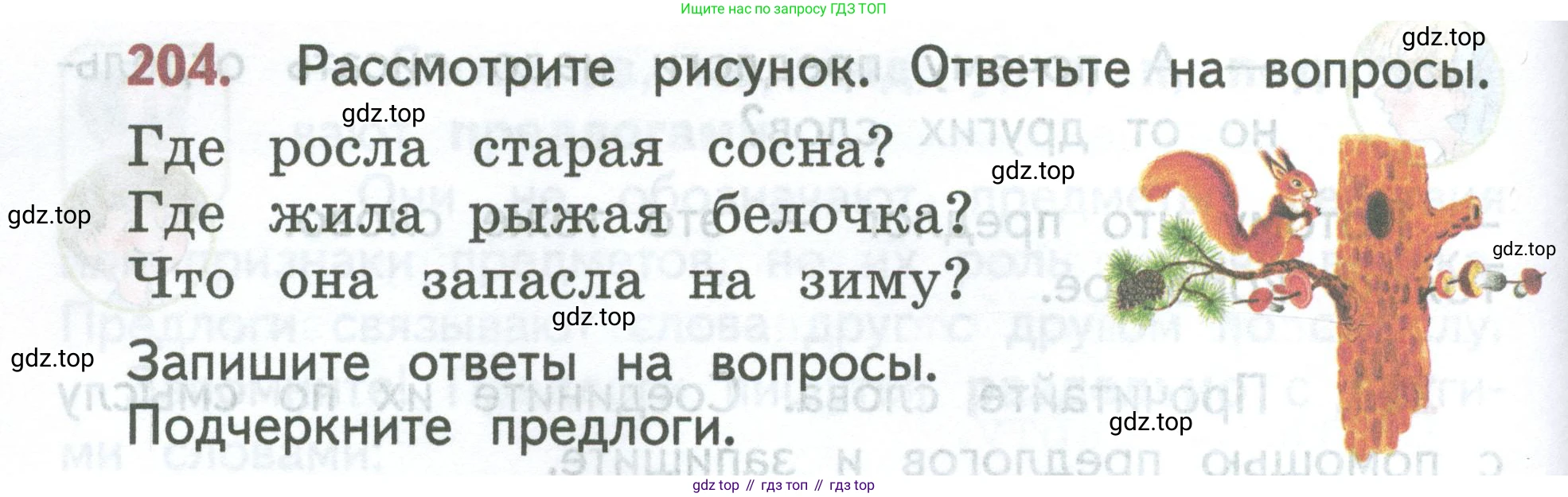 ГДЗ Русский язык, 2 класс Учебник, авторы: Климанова Людмила Федоровна, Бабушкина Татьяна Владимировна, издательство Просвещение, Москва, 2023, белого цвета, Часть 2, страница 116, номер 204, Условие