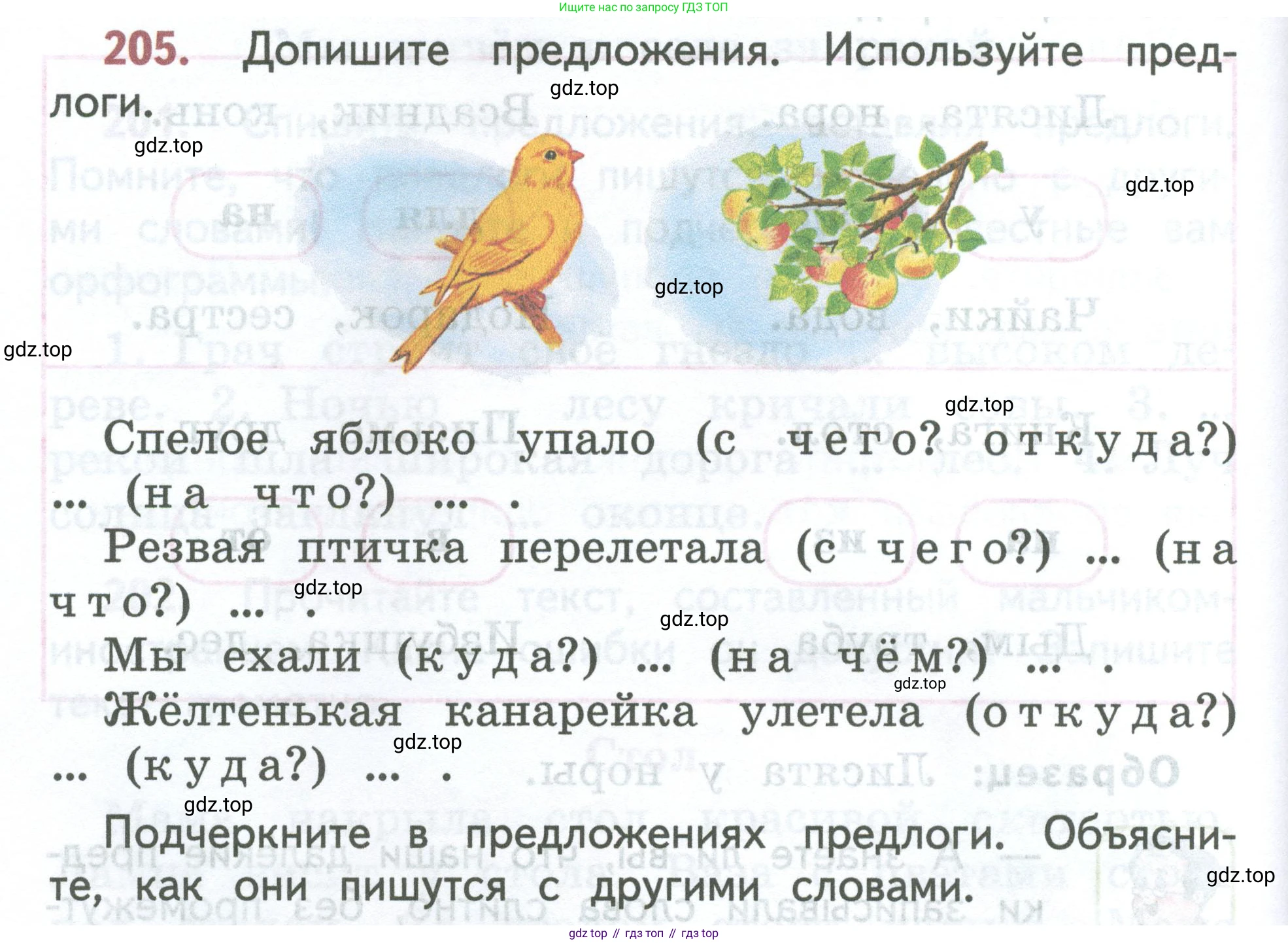 ГДЗ Русский язык, 2 класс Учебник, авторы: Климанова Людмила Федоровна, Бабушкина Татьяна Владимировна, издательство Просвещение, Москва, 2023, белого цвета, Часть 2, страница 116, номер 205, Условие