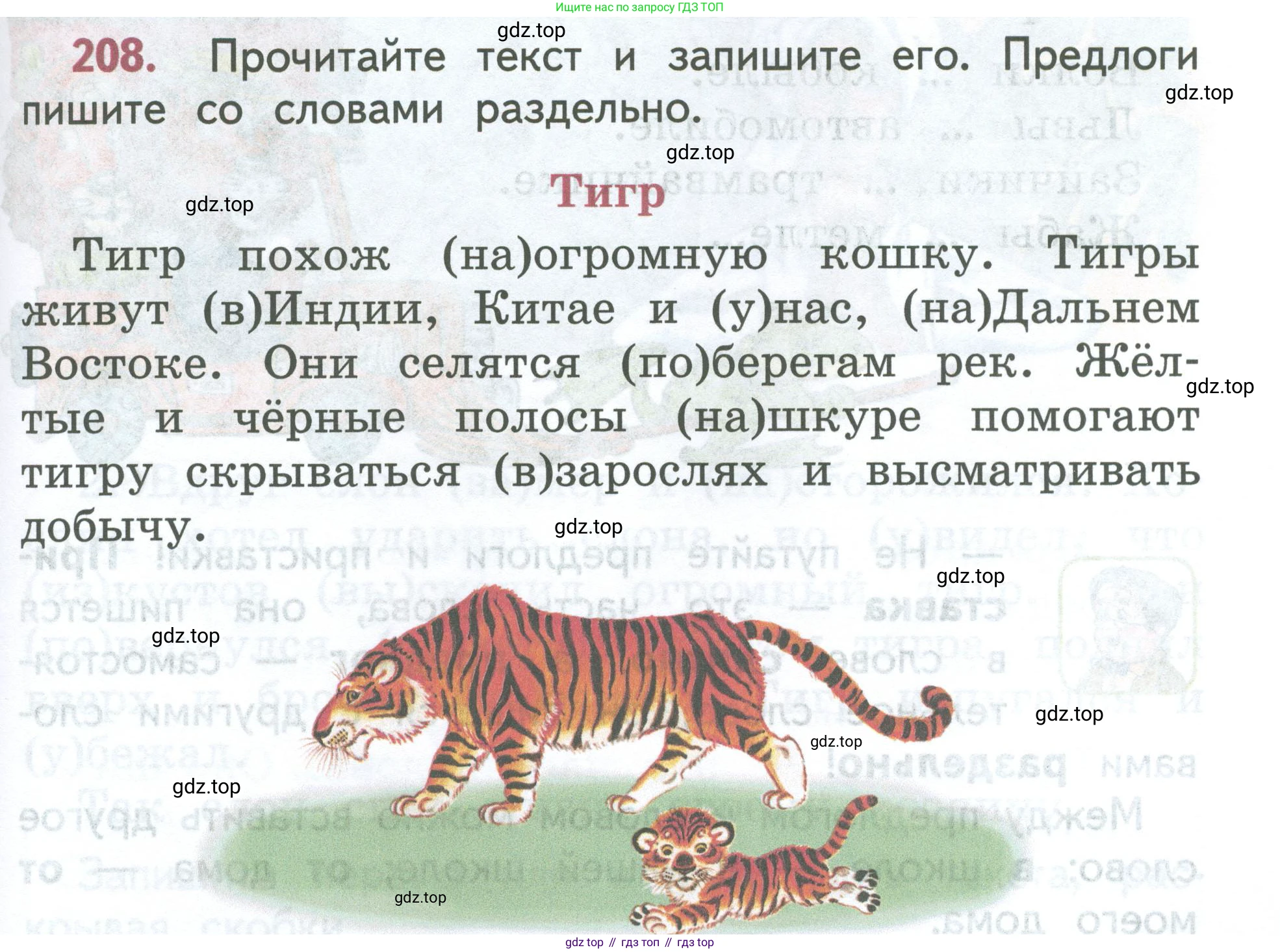 ГДЗ Русский язык, 2 класс Учебник, авторы: Климанова Людмила Федоровна, Бабушкина Татьяна Владимировна, издательство Просвещение, Москва, 2023, белого цвета, Часть 2, страница 117, номер 208, Условие