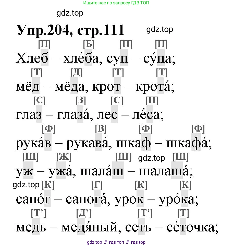 ГДЗ Русский язык, 2 класс Учебник, авторы: Климанова Людмила Федоровна, Бабушкина Татьяна Владимировна, издательство Просвещение, Москва, 2023, белого цвета, Часть 1, страница 111, номер 204, Решение