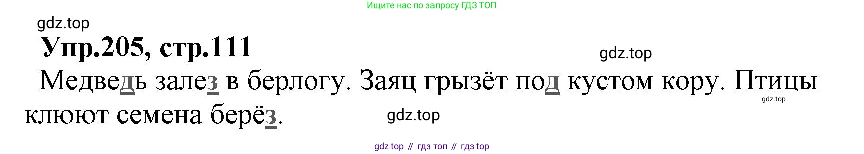 ГДЗ Русский язык, 2 класс Учебник, авторы: Климанова Людмила Федоровна, Бабушкина Татьяна Владимировна, издательство Просвещение, Москва, 2023, белого цвета, Часть 1, страница 111, номер 205, Решение