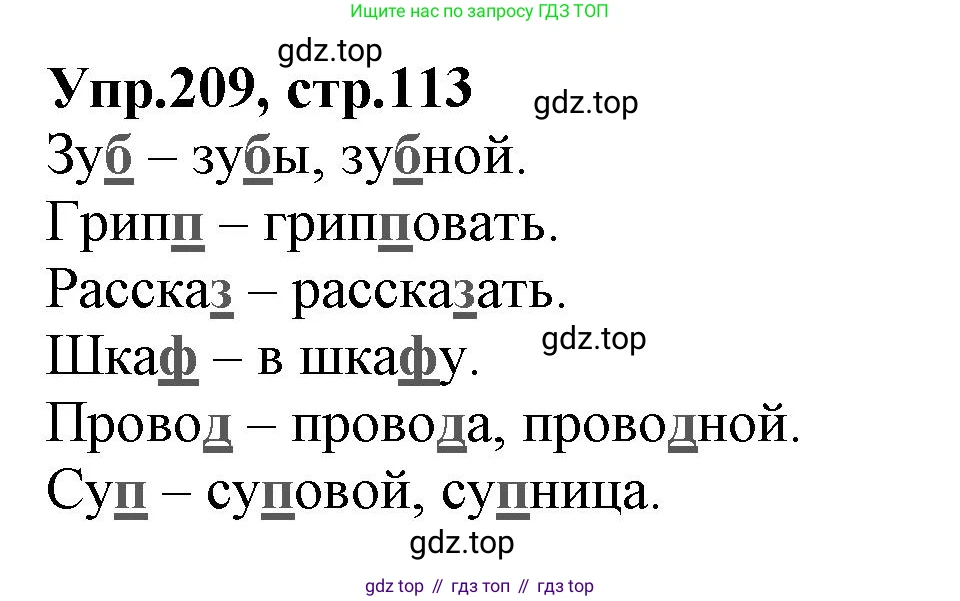 ГДЗ Русский язык, 2 класс Учебник, авторы: Климанова Людмила Федоровна, Бабушкина Татьяна Владимировна, издательство Просвещение, Москва, 2023, белого цвета, Часть 1, страница 113, номер 209, Решение