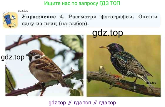 Русский язык, 2 класс Учебник, авторы: Никитина Светлана Алексеевна, Казабеева Виталия Алексеевна, Кульгильдинова Тулебике Алимжановна, Якунина Любовь Павловна, издательство Атамұра, Алматы, 2022, Часть 2, страница 69, номер 4, Условие
