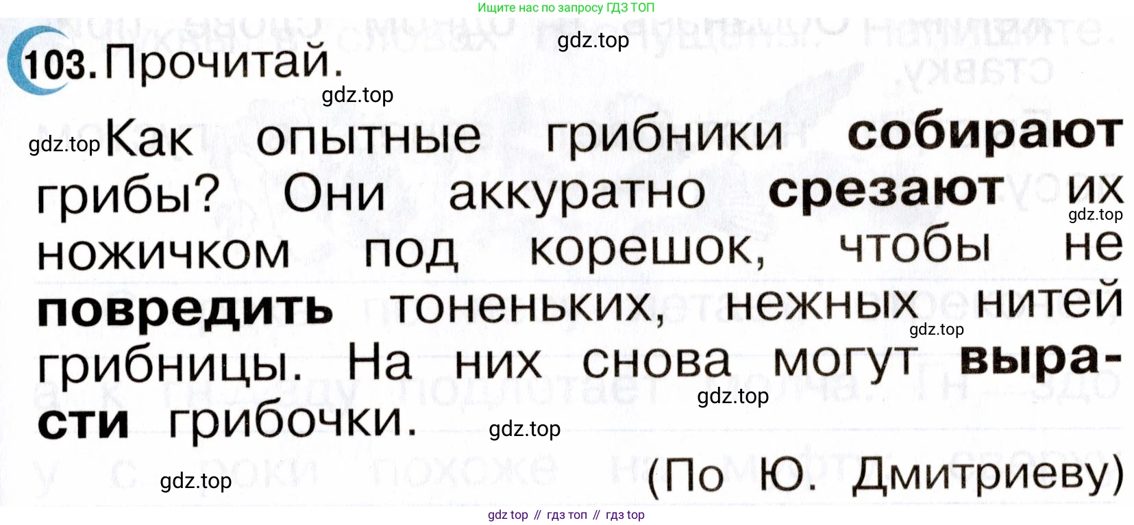 ГДЗ Русский язык, 2 класс рабочая тетрадь, авторы: Рамзаева Тамара Григорьевна, Савинкина Людмила Павловна, издательство Просвещение, Москва, 2023, страница 61, номер 103, Условие