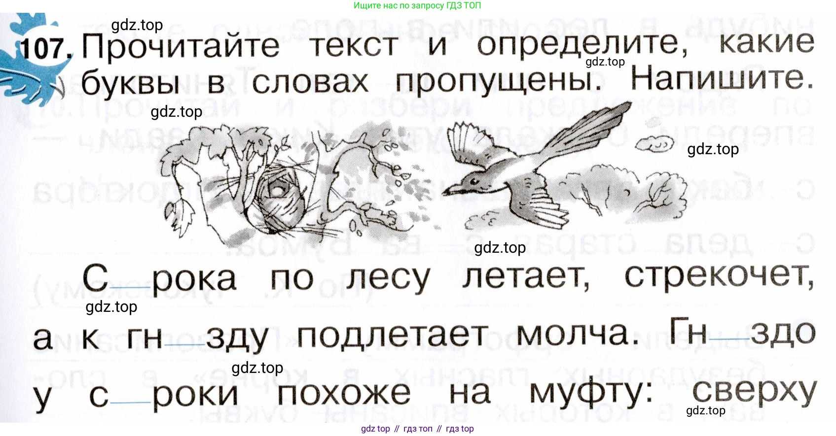 ГДЗ Русский язык, 2 класс рабочая тетрадь, авторы: Рамзаева Тамара Григорьевна, Савинкина Людмила Павловна, издательство Просвещение, Москва, 2023, страница 63, номер 107, Условие