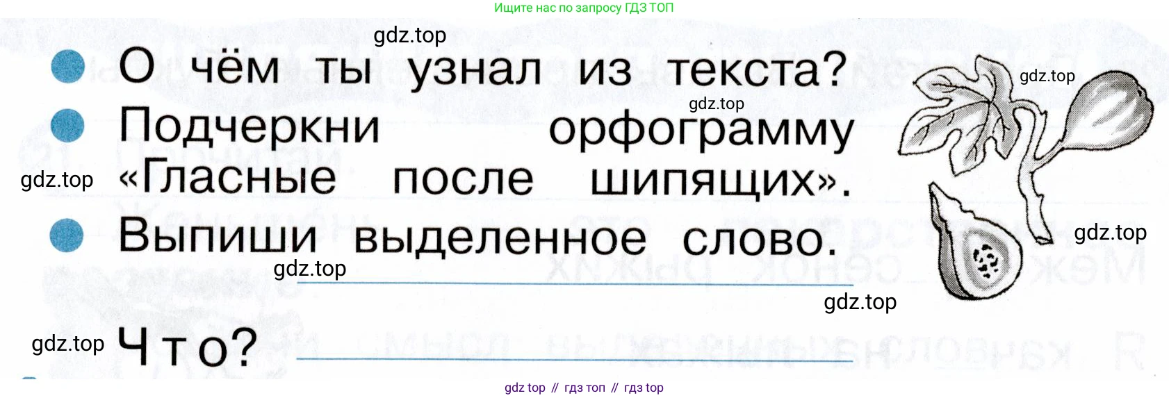ГДЗ Русский язык, 2 класс рабочая тетрадь, авторы: Рамзаева Тамара Григорьевна, Савинкина Людмила Павловна, издательство Просвещение, Москва, 2023, страница 13, номер 24, Условие (продолжение 2)