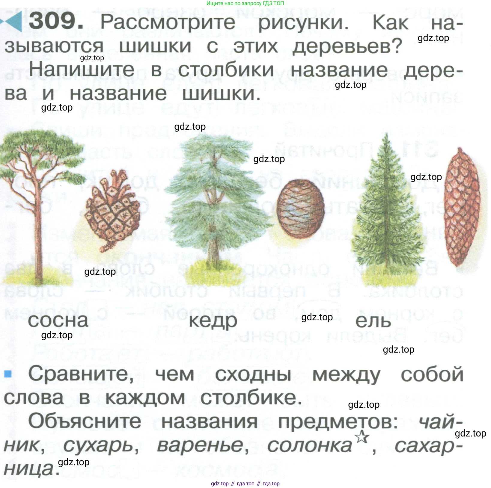 ГДЗ Русский язык, 2 класс Учебник, авторы: Рамзаева Тамара Григорьевна, Савельева Лариса Владимировна, издательство Просвещение, Москва, 2023, Часть 2, страница 49, номер 309, Условие