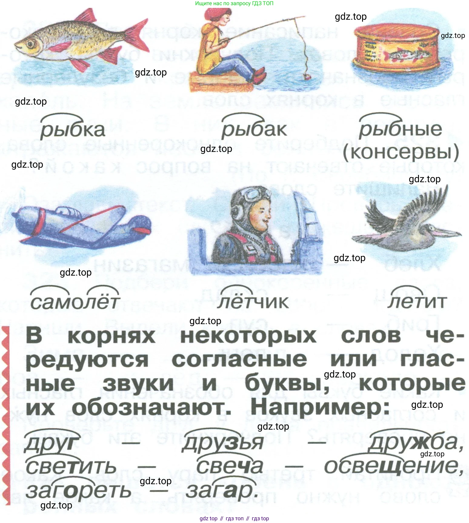 ГДЗ Русский язык, 2 класс Учебник, авторы: Рамзаева Тамара Григорьевна, Савельева Лариса Владимировна, издательство Просвещение, Москва, 2023, Часть 2, страница 59, номер 325, Условие (продолжение 2)
