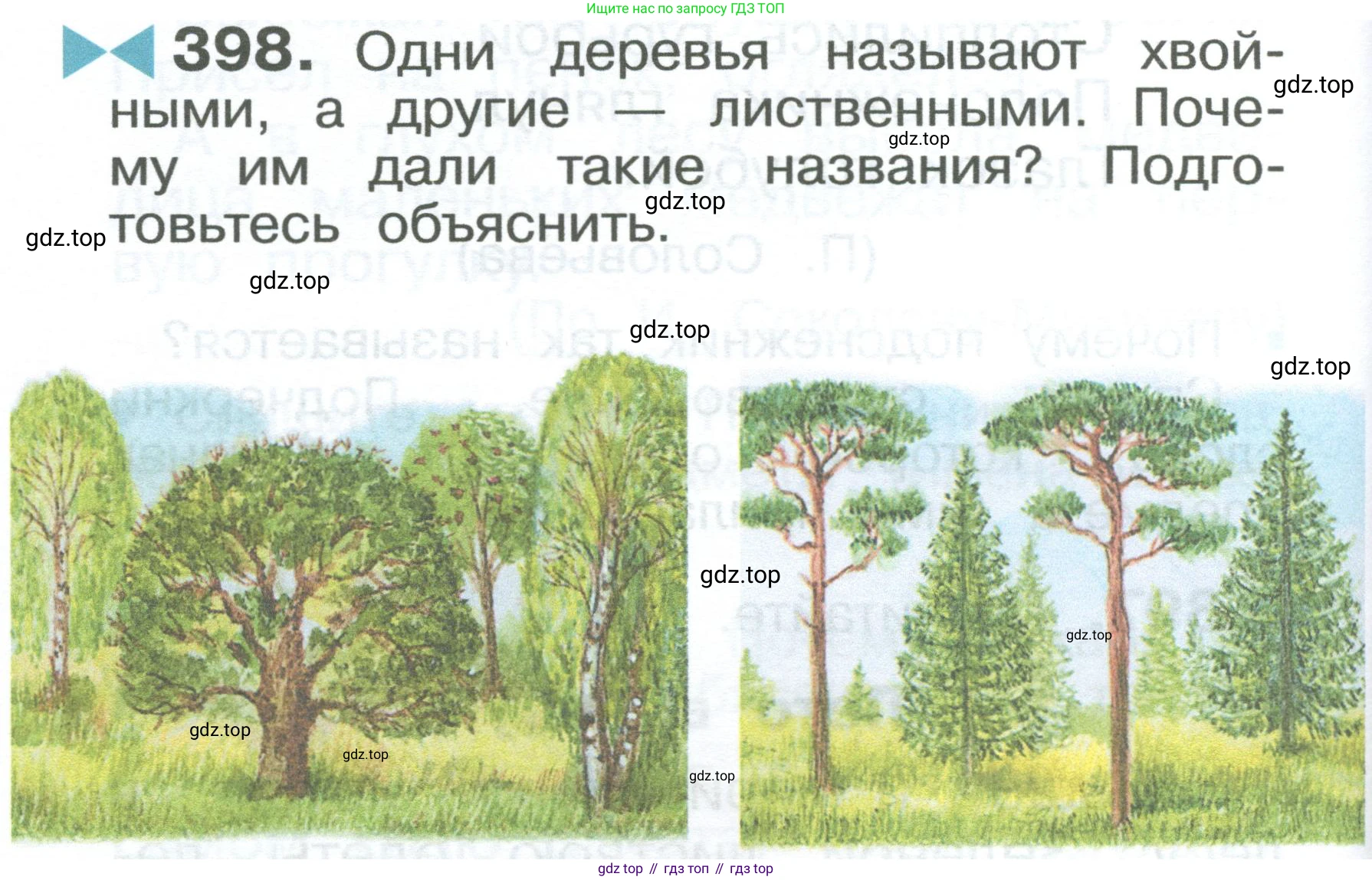 ГДЗ Русский язык, 2 класс Учебник, авторы: Рамзаева Тамара Григорьевна, Савельева Лариса Владимировна, издательство Просвещение, Москва, 2023, Часть 2, страница 100, номер 398, Условие