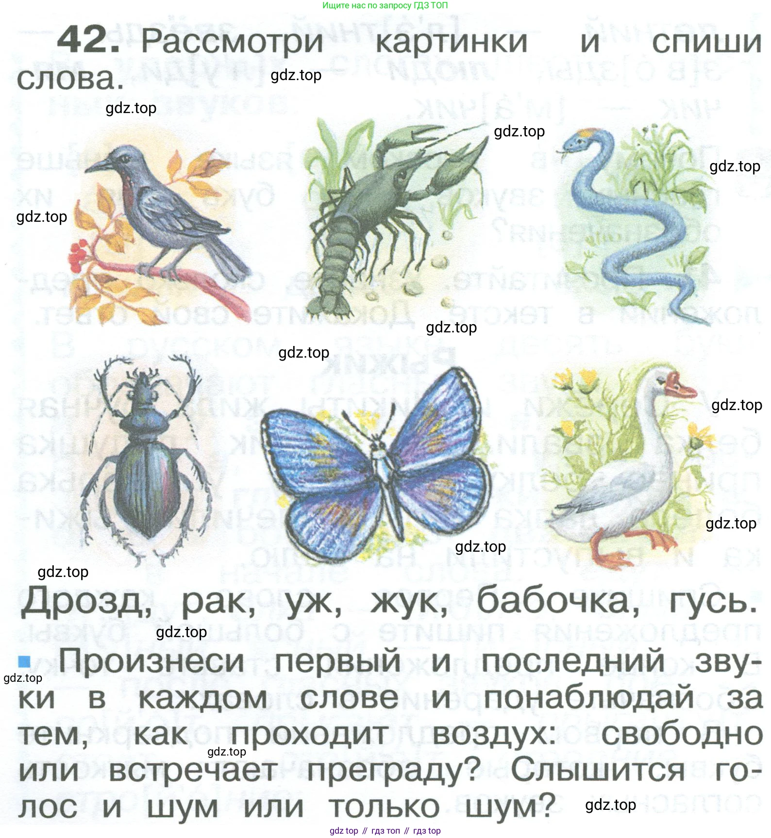 ГДЗ Русский язык, 2 класс Учебник, авторы: Рамзаева Тамара Григорьевна, Савельева Лариса Владимировна, издательство Просвещение, Москва, 2023, Часть 1, страница 28, номер 42, Условие