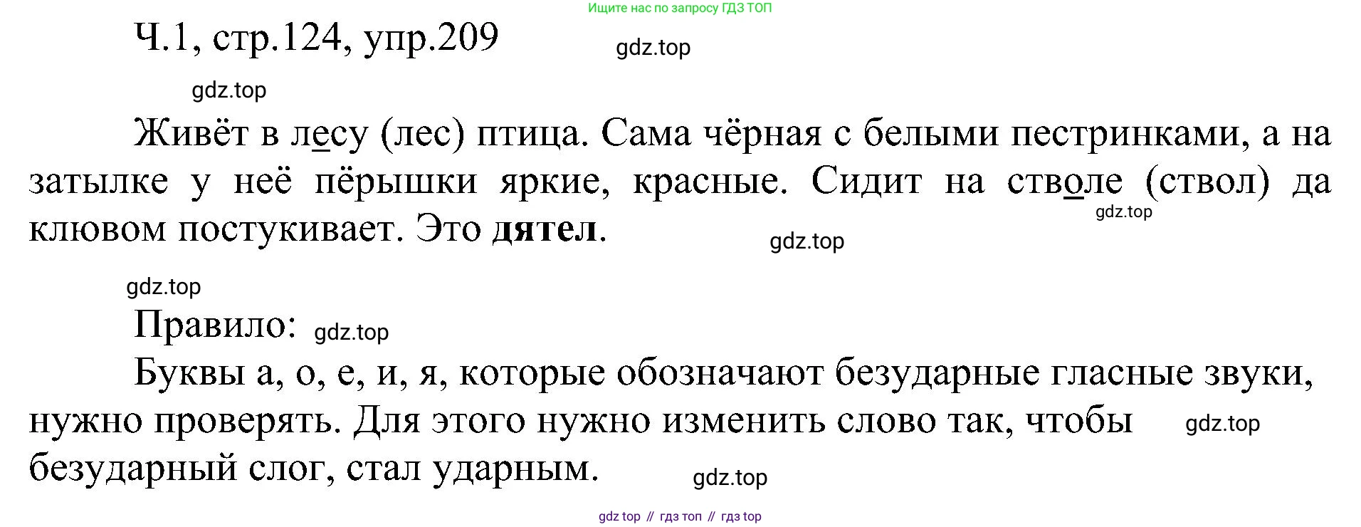 ГДЗ Русский язык, 2 класс Учебник, авторы: Рамзаева Тамара Григорьевна, Савельева Лариса Владимировна, издательство Просвещение, Москва, 2023, Часть 1, страница 125, номер 209, Решение