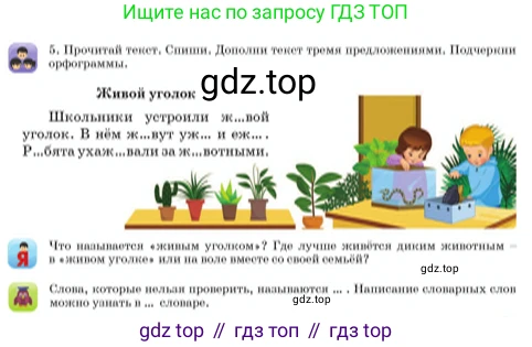 Русский язык, 3 класс Учебник, авторы: Богатырёва Елена Васильевна, Бучина Раиса Александровна, Регель Надежда Васильевна, Труханова Ольга Ивановна, Штукина Елена Эдуардовна, издательство Алматыкітап баспасы, Алматы, 2023, Часть 1, страница 19, номер 5, Условие