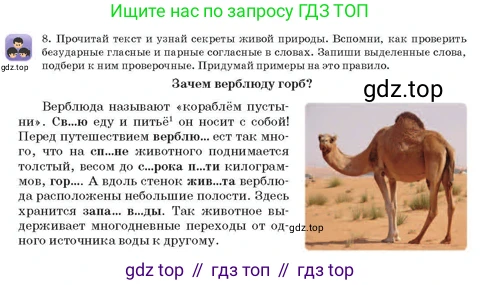 Русский язык, 3 класс Учебник, авторы: Богатырёва Елена Васильевна, Бучина Раиса Александровна, Регель Надежда Васильевна, Труханова Ольга Ивановна, Штукина Елена Эдуардовна, издательство Алматыкітап баспасы, Алматы, 2023, Часть 1, страница 31, номер 8, Условие