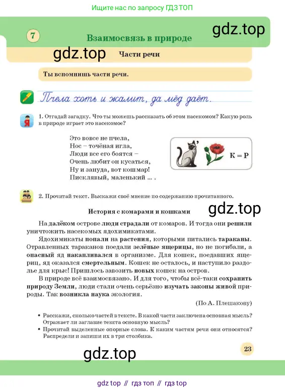 Русский язык, 3 класс Учебник, авторы: Богатырёва Елена Васильевна, Бучина Раиса Александровна, Регель Надежда Васильевна, Труханова Ольга Ивановна, Штукина Елена Эдуардовна, издательство Алматыкітап баспасы, Алматы, 2023, Часть 1, страница 23