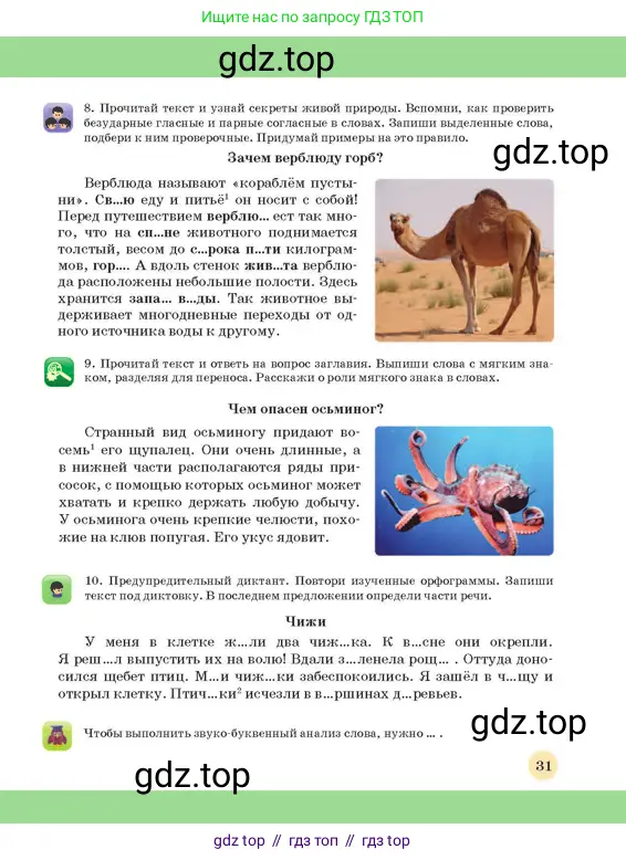 Русский язык, 3 класс Учебник, авторы: Богатырёва Елена Васильевна, Бучина Раиса Александровна, Регель Надежда Васильевна, Труханова Ольга Ивановна, Штукина Елена Эдуардовна, издательство Алматыкітап баспасы, Алматы, 2023, Часть 1, страница 31
