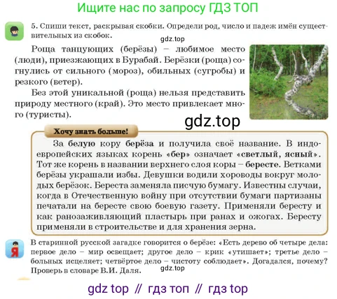 Русский язык, 3 класс Учебник, авторы: Богатырёва Елена Васильевна, Бучина Раиса Александровна, Регель Надежда Васильевна, Труханова Ольга Ивановна, Штукина Елена Эдуардовна, издательство Алматыкітап баспасы, Алматы, 2023, Часть 3, страница 30, номер 5, Условие