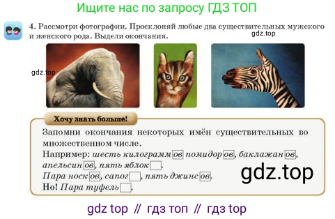 Русский язык, 3 класс Учебник, авторы: Богатырёва Елена Васильевна, Бучина Раиса Александровна, Регель Надежда Васильевна, Труханова Ольга Ивановна, Штукина Елена Эдуардовна, издательство Алматыкітап баспасы, Алматы, 2023, Часть 3, страница 42, номер 4, Условие