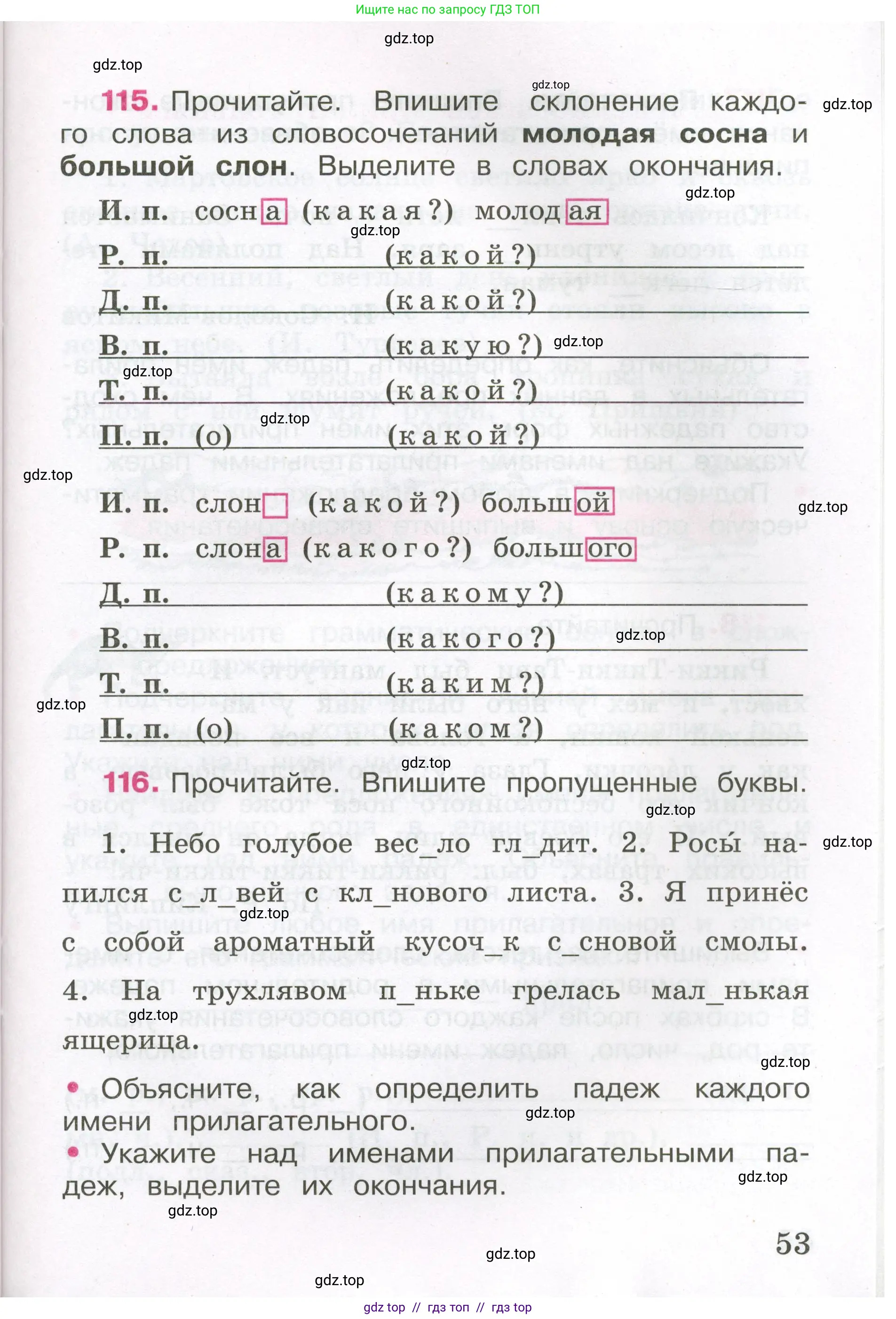 Русский язык, 3 класс рабочая тетрадь, автор: Канакина Валентина Павловна, издательство Просвещение, Москва, 2023, белого цвета, Часть 2, страница 53