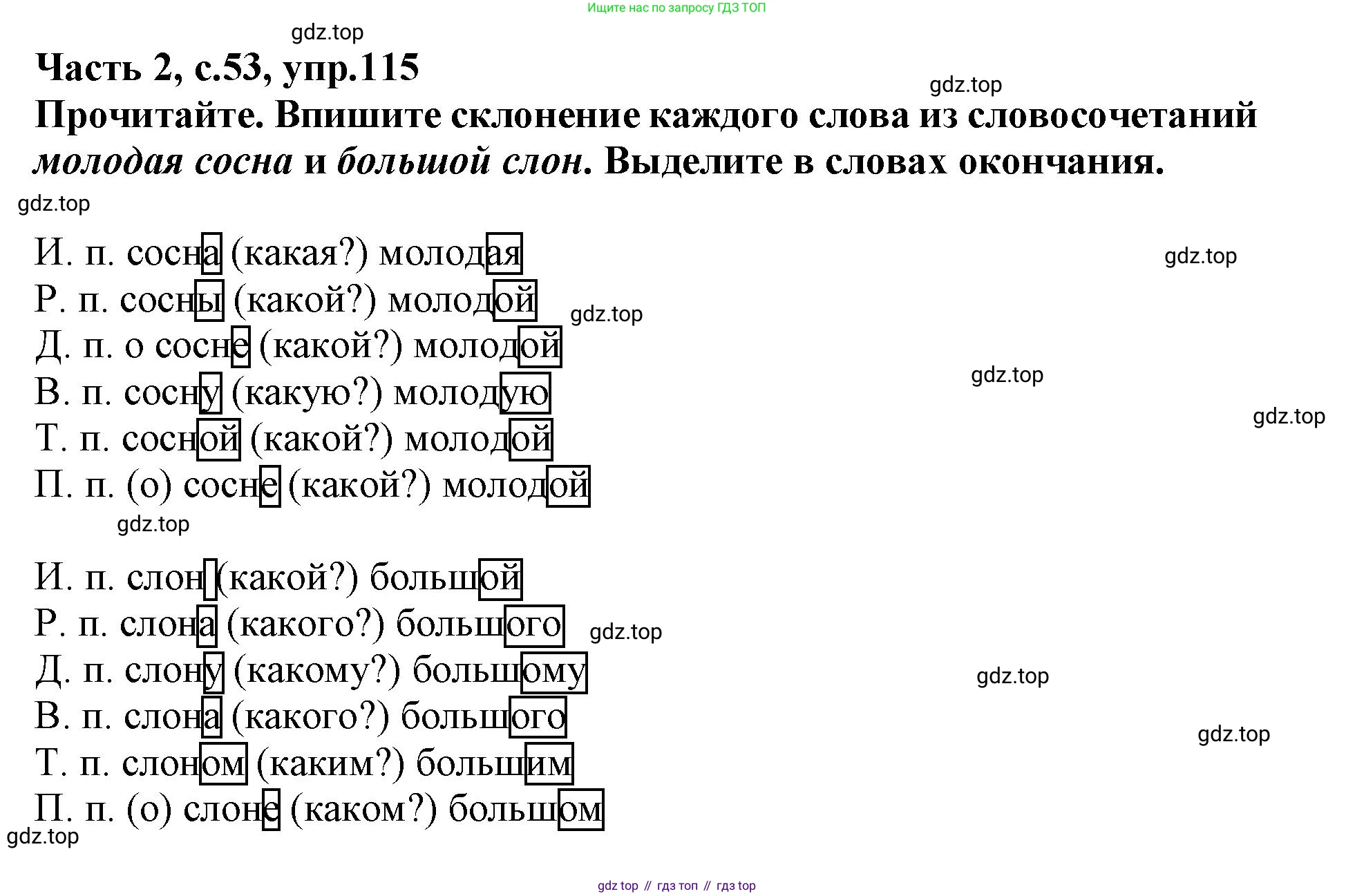 Русский язык, 3 класс рабочая тетрадь, автор: Канакина Валентина Павловна, издательство Просвещение, Москва, 2023, белого цвета, Часть 2, страница 53, номер 115, Решение