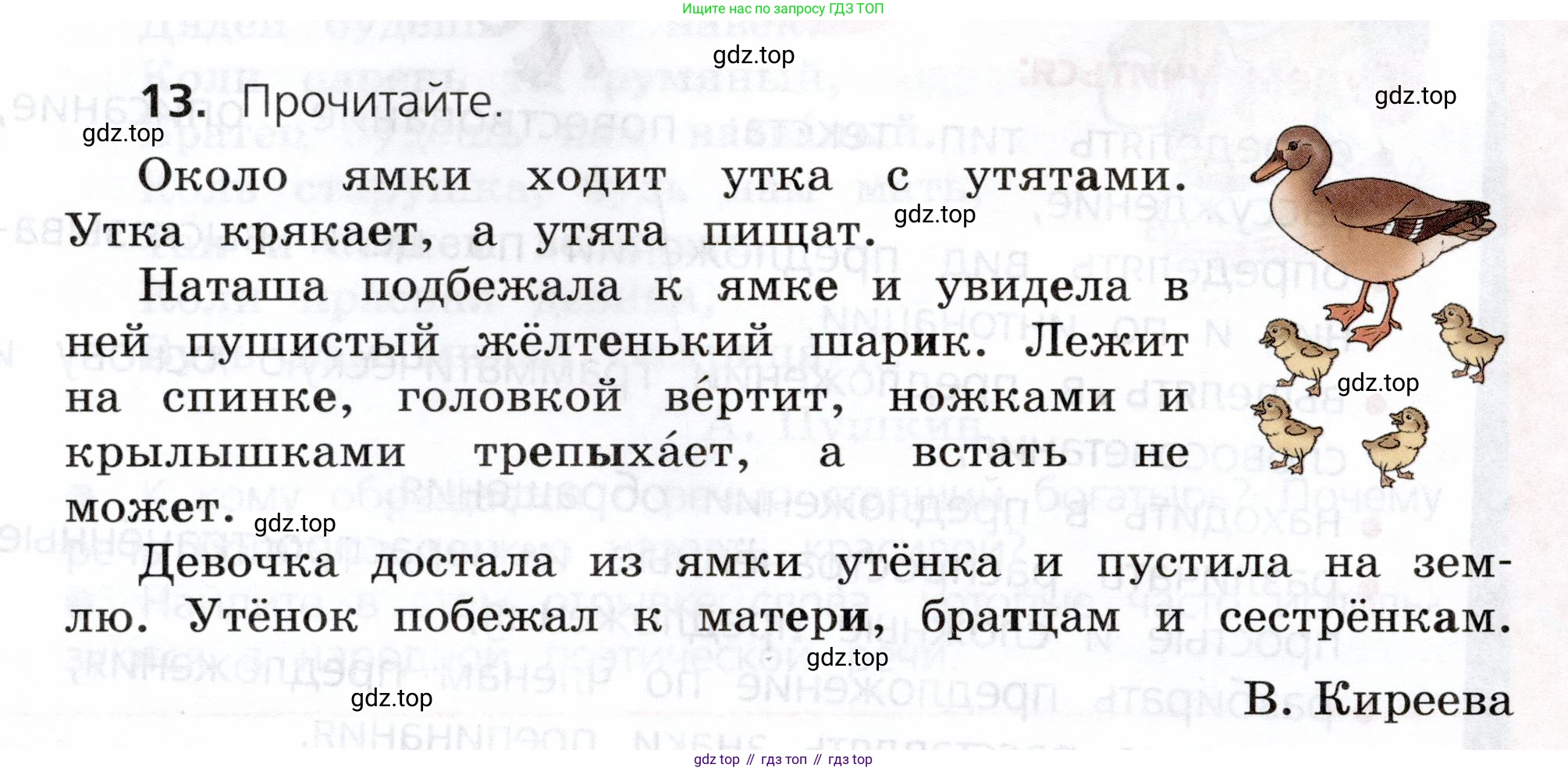 ГДЗ Русский язык, 3 класс Учебник, авторы: Канакина Валентина Павловна, Горецкий Всеслав Гаврилович, издательство Просвещение, Москва, 2023, белого цвета, Часть 1, страница 12, номер 13, Условие