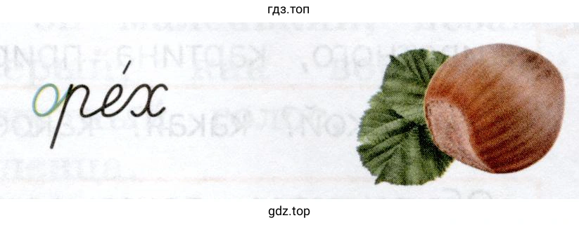 орех