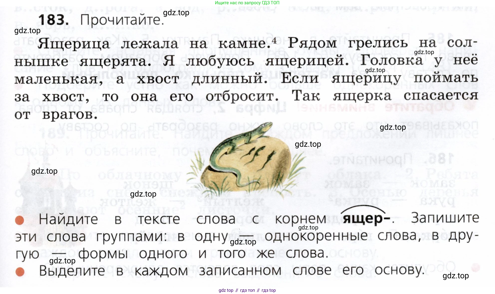 ГДЗ Русский язык, 3 класс Учебник, авторы: Канакина Валентина Павловна, Горецкий Всеслав Гаврилович, издательство Просвещение, Москва, 2023, белого цвета, Часть 1, страница 95, номер 183, Условие