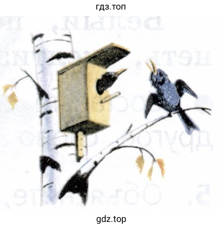 Написать изложение текста по плану (см. Памятку 7, с. 144)