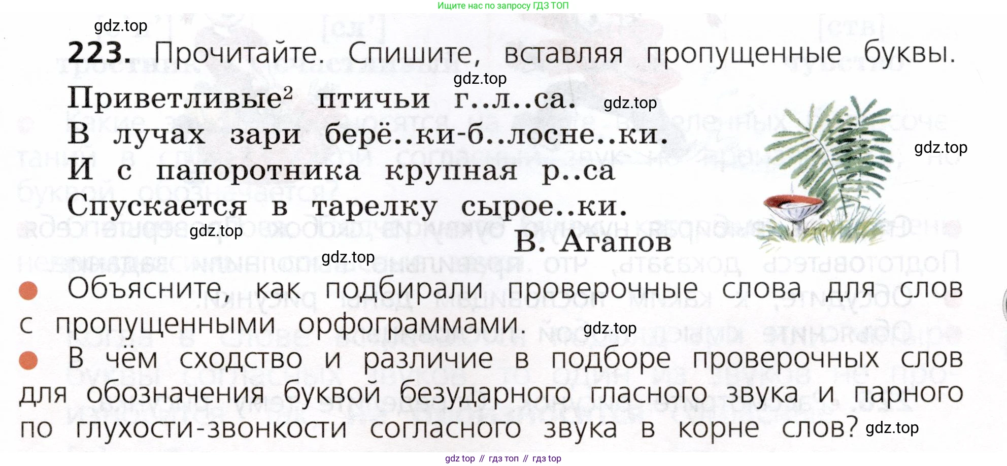 ГДЗ Русский язык, 3 класс Учебник, авторы: Канакина Валентина Павловна, Горецкий Всеслав Гаврилович, издательство Просвещение, Москва, 2023, белого цвета, Часть 1, страница 115, номер 223, Условие