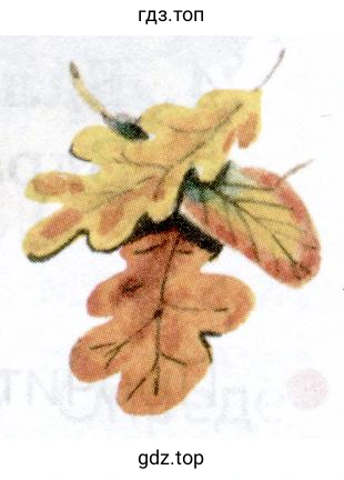 Рисунок