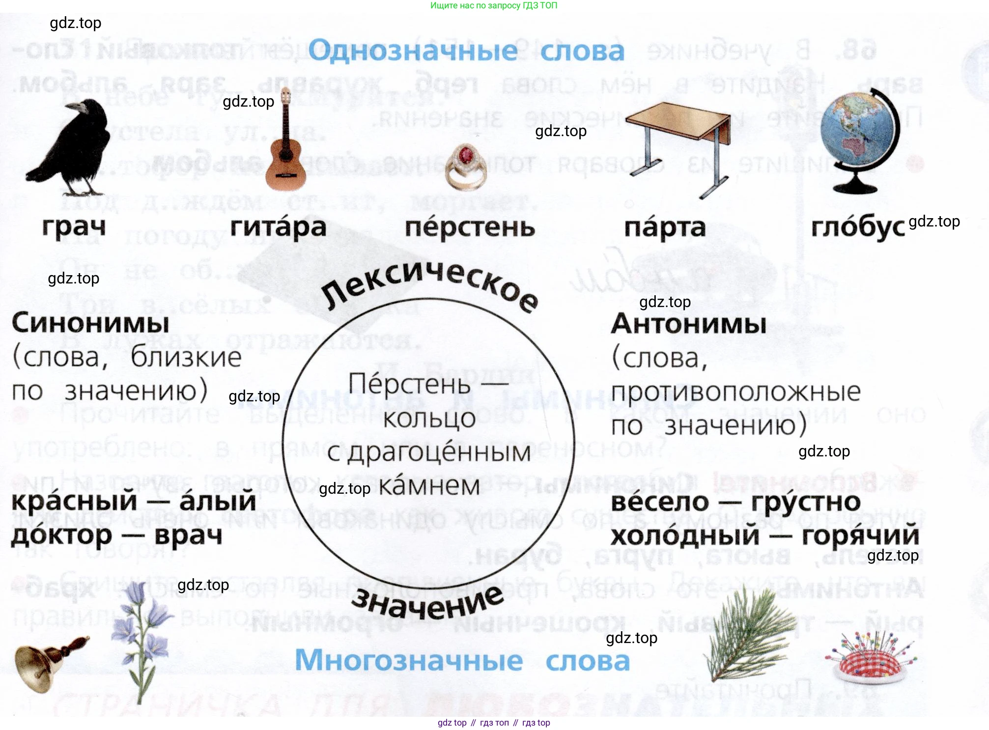 ГДЗ Русский язык, 3 класс Учебник, авторы: Канакина Валентина Павловна, Горецкий Всеслав Гаврилович, издательство Просвещение, Москва, 2023, белого цвета, Часть 1, страница 40, номер 66, Условие (продолжение 2)