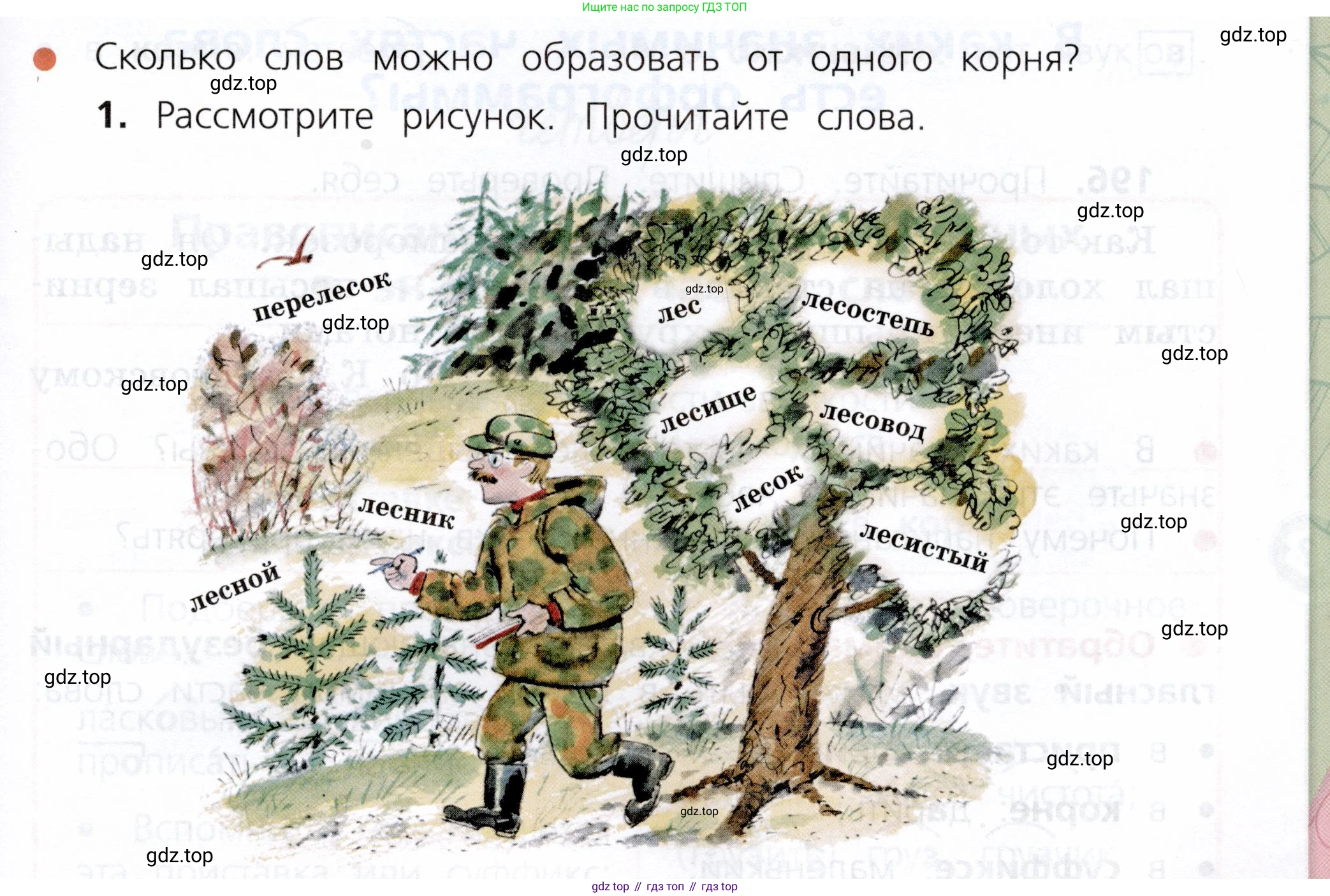 ГДЗ Русский язык, 3 класс Учебник, авторы: Канакина Валентина Павловна, Горецкий Всеслав Гаврилович, издательство Просвещение, Москва, 2023, белого цвета, Часть 1, страница 101, номер 1, Условие