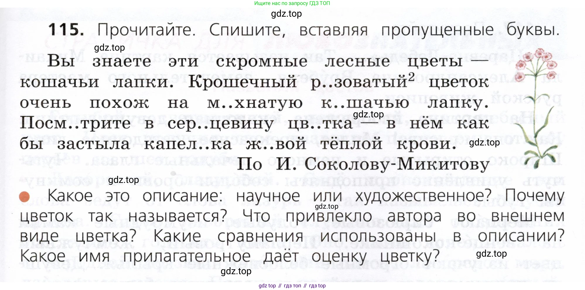 ГДЗ Русский язык, 3 класс Учебник, авторы: Канакина Валентина Павловна, Горецкий Всеслав Гаврилович, издательство Просвещение, Москва, 2023, белого цвета, Часть 2, страница 67, номер 115, Условие