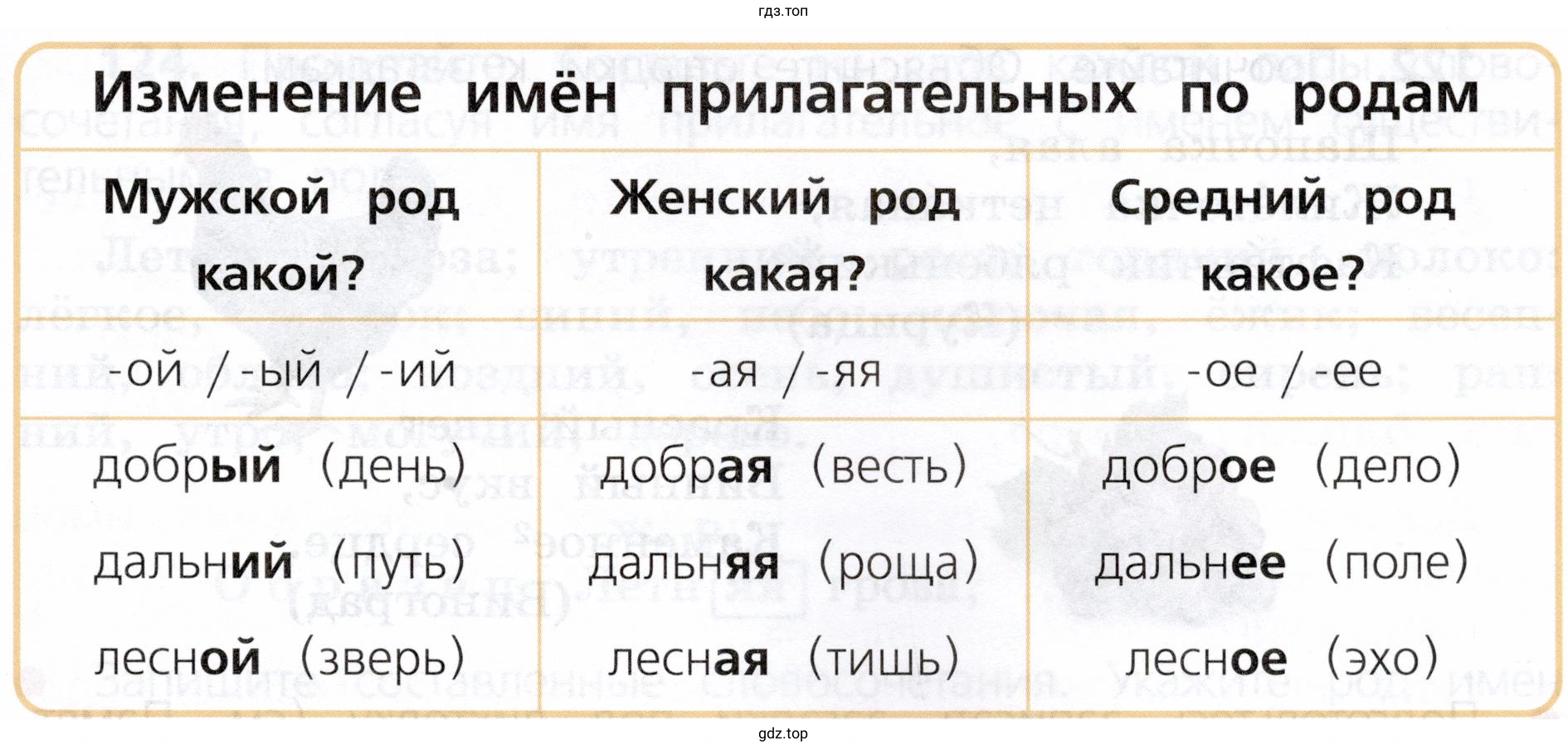 Какого рода бывают имена прилагательные. По каким признакам можно определить их род?