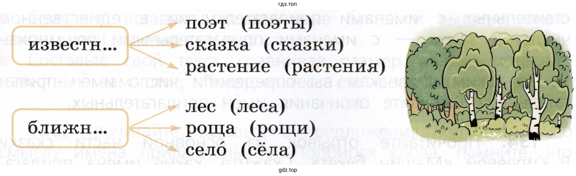 Объяснить, одинаковыми или различными будут окончания имён прилагательных в словосочетаниях с данными именами существительными в единственном и во множественном числе