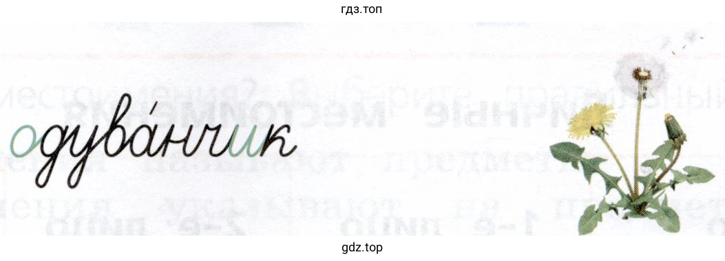 одуванчик