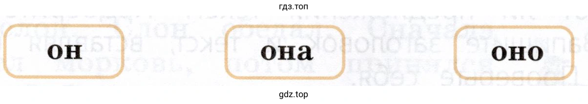 Определить лицо, число, род личных местоимений