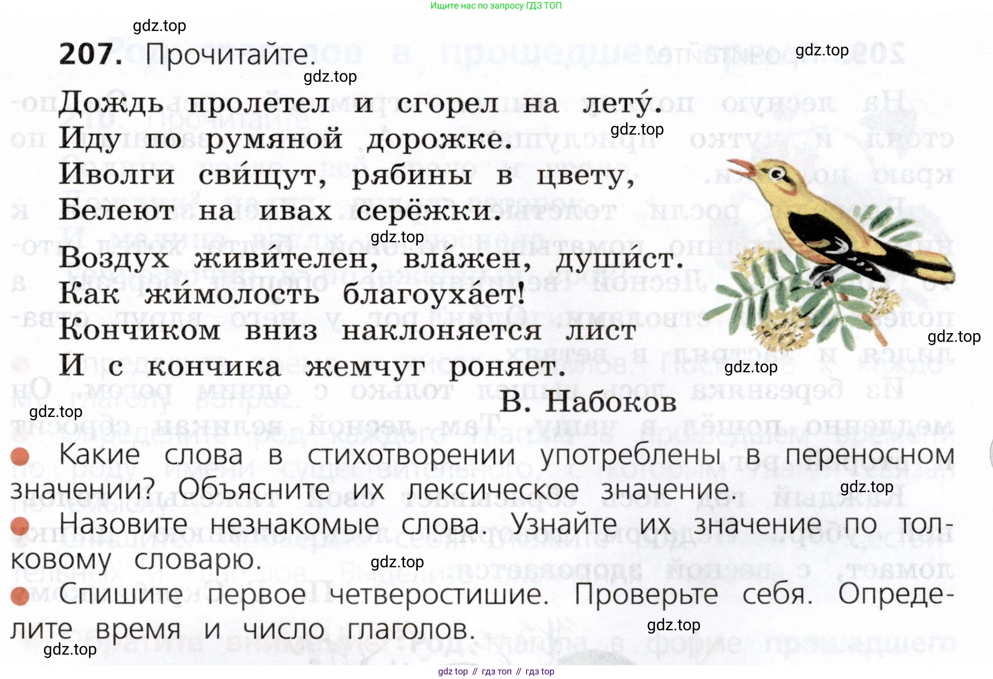 ГДЗ Русский язык, 3 класс Учебник, авторы: Канакина Валентина Павловна, Горецкий Всеслав Гаврилович, издательство Просвещение, Москва, 2023, белого цвета, Часть 2, страница 117, номер 207, Условие