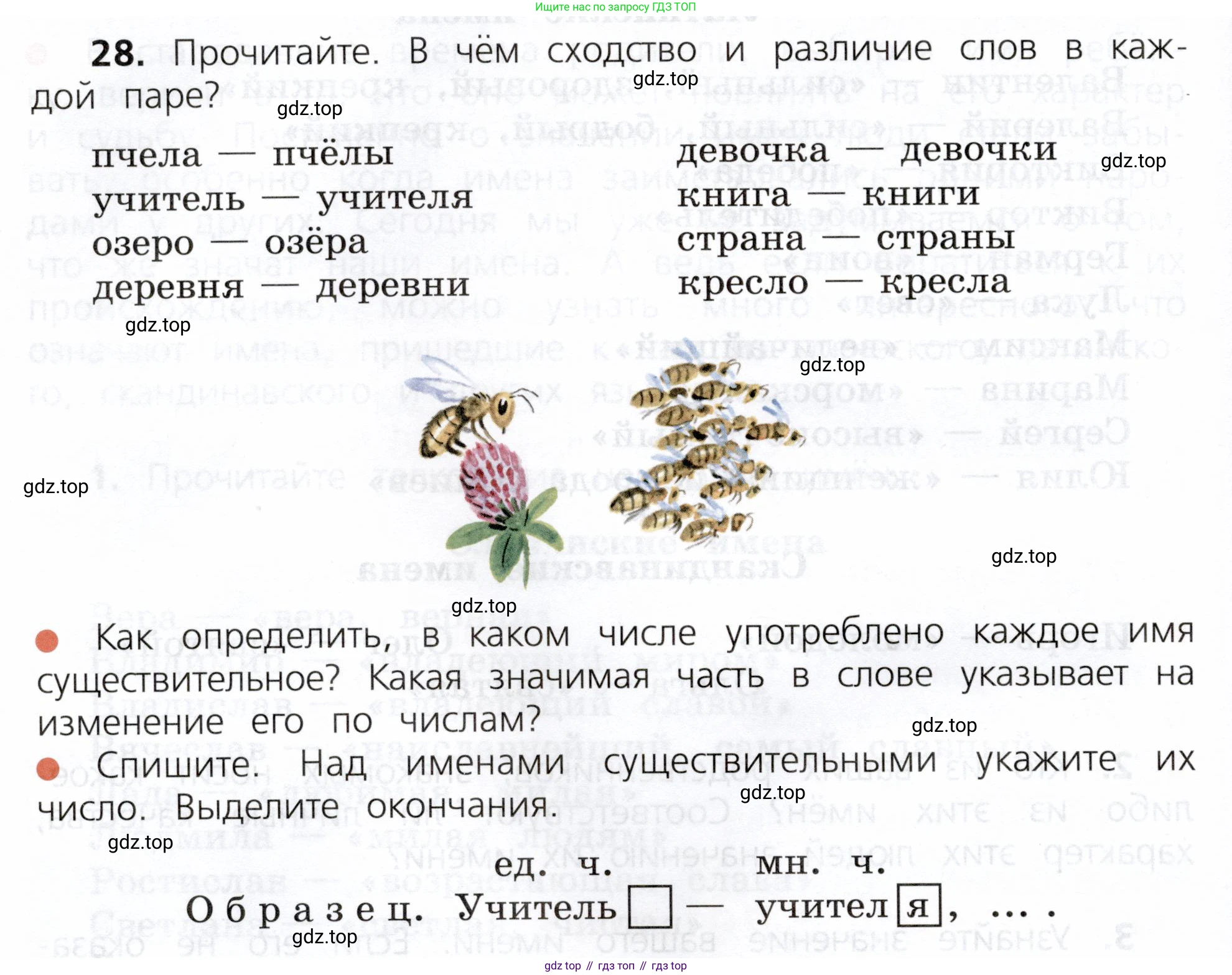 ГДЗ Русский язык, 3 класс Учебник, авторы: Канакина Валентина Павловна, Горецкий Всеслав Гаврилович, издательство Просвещение, Москва, 2023, белого цвета, Часть 2, страница 20, номер 28, Условие