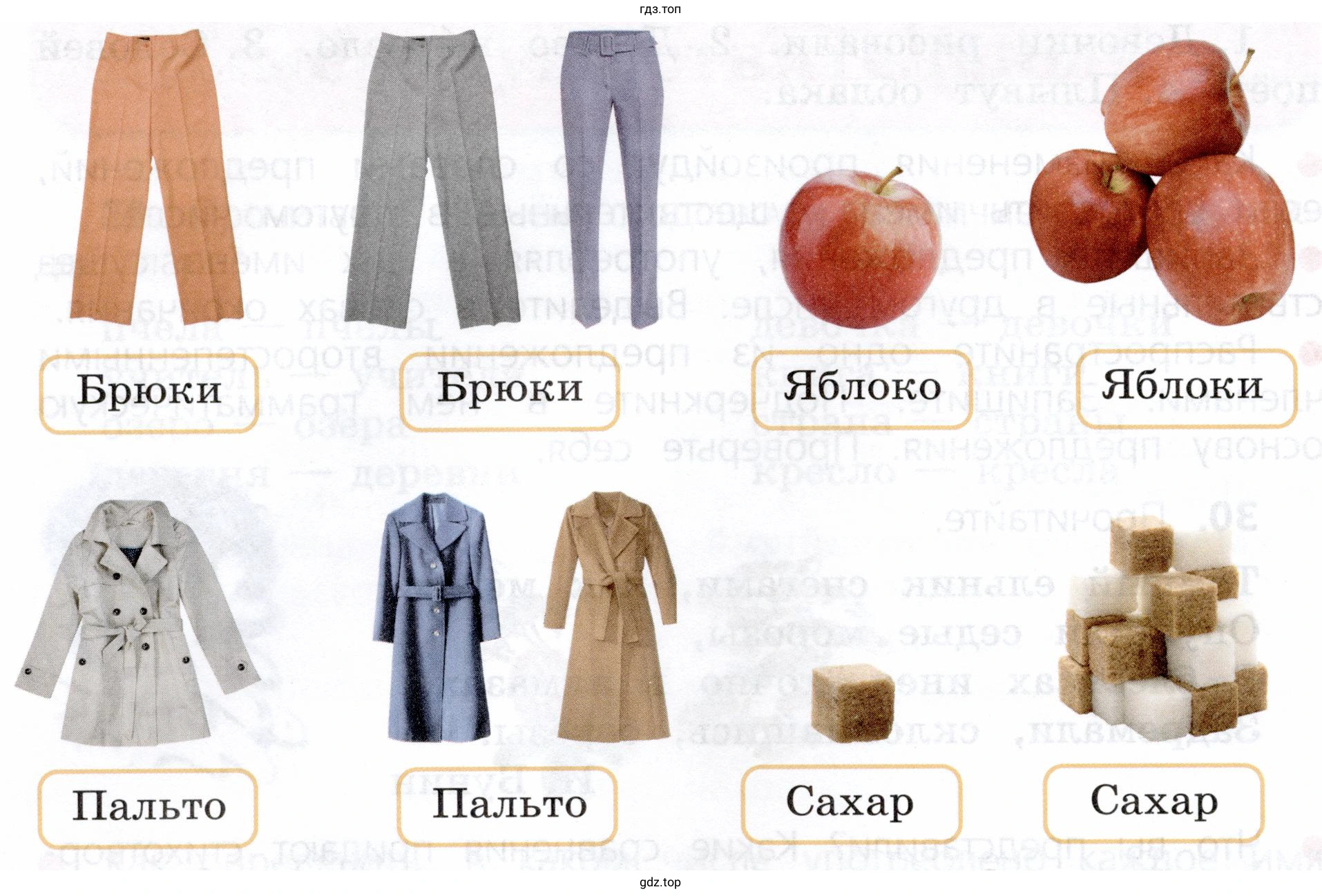 Можно ли по рисункам и словам догадаться, что не все имена существительные изменяются по числам?