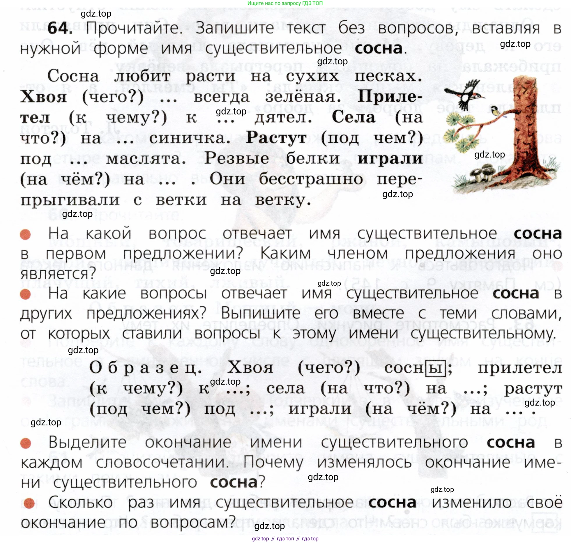 ГДЗ Русский язык, 3 класс Учебник, авторы: Канакина Валентина Павловна, Горецкий Всеслав Гаврилович, издательство Просвещение, Москва, 2023, белого цвета, Часть 2, страница 36, номер 64, Условие
