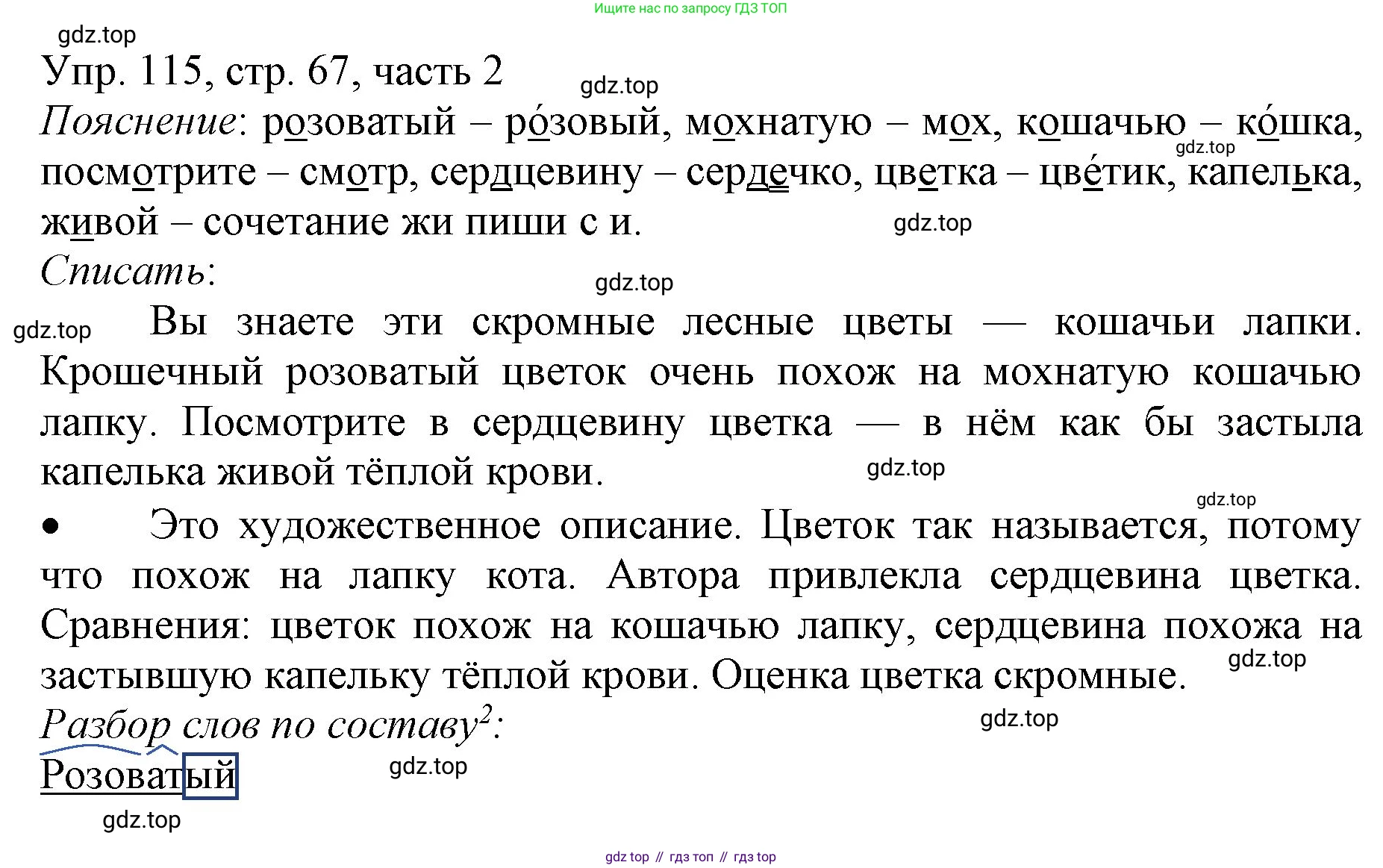ГДЗ Русский язык, 3 класс Учебник, авторы: Канакина Валентина Павловна, Горецкий Всеслав Гаврилович, издательство Просвещение, Москва, 2023, белого цвета, Часть 2, страница 67, номер 115, Решение