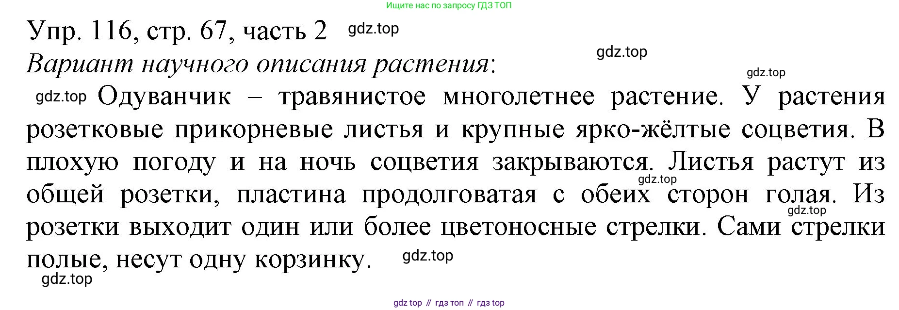 ГДЗ Русский язык, 3 класс Учебник, авторы: Канакина Валентина Павловна, Горецкий Всеслав Гаврилович, издательство Просвещение, Москва, 2023, белого цвета, Часть 2, страница 67, номер 116, Решение