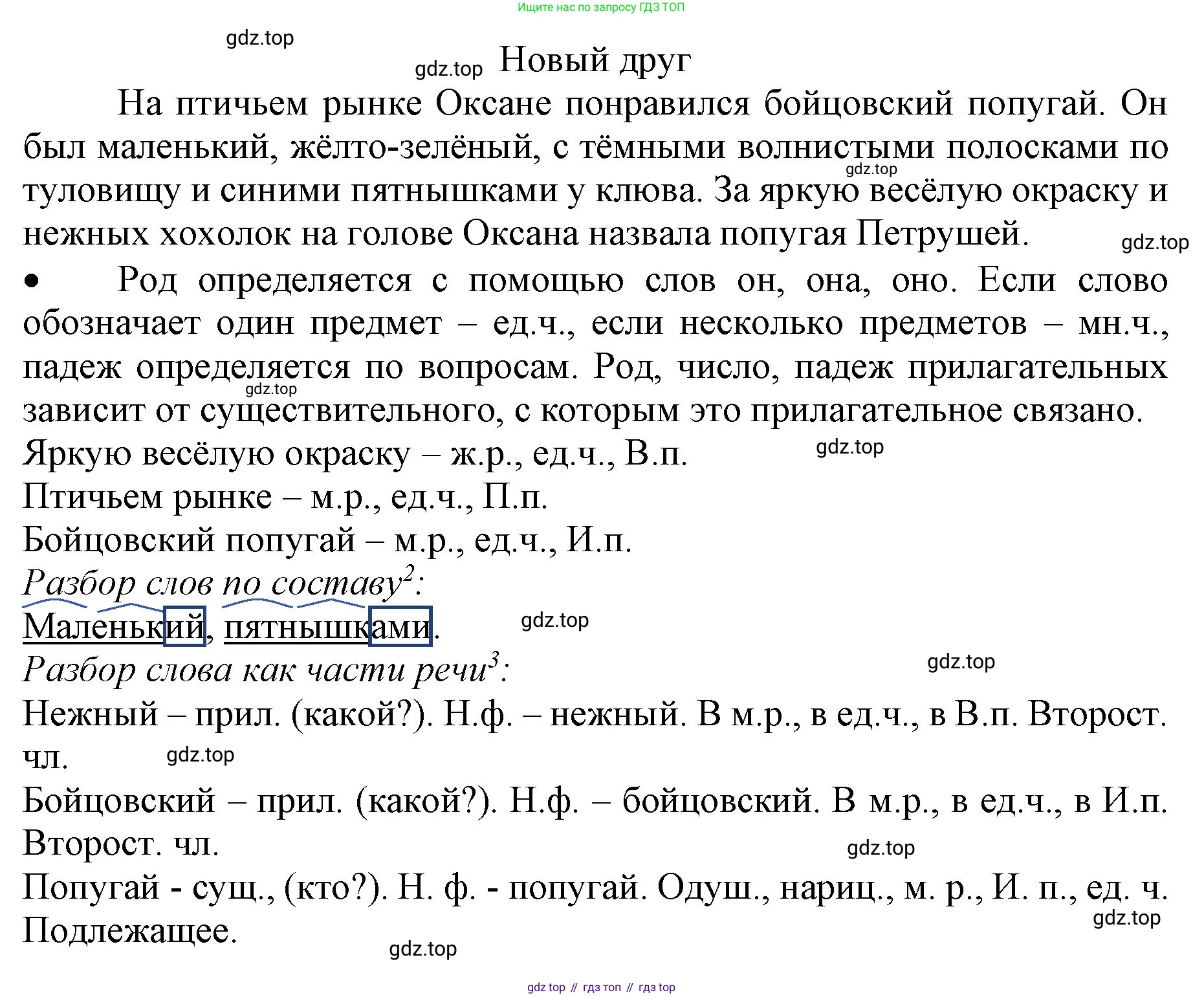 ГДЗ Русский язык, 3 класс Учебник, авторы: Канакина Валентина Павловна, Горецкий Всеслав Гаврилович, издательство Просвещение, Москва, 2023, белого цвета, Часть 2, страница 84, номер 146, Решение (продолжение 2)