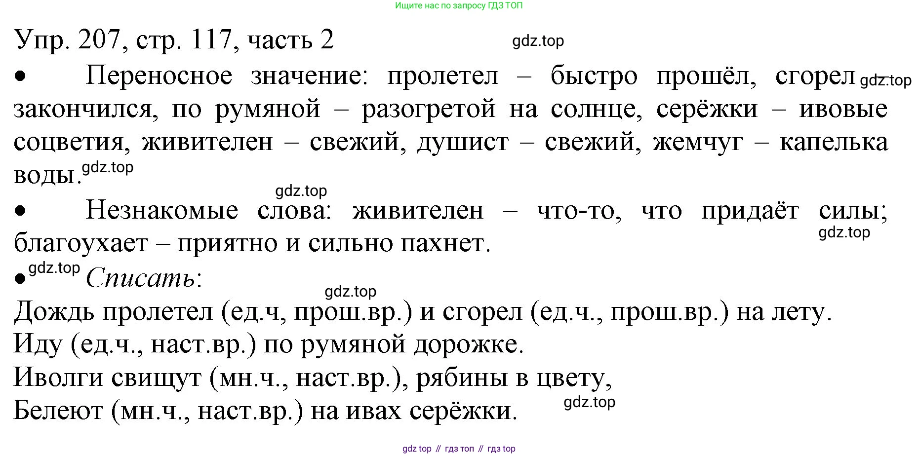 ГДЗ Русский язык, 3 класс Учебник, авторы: Канакина Валентина Павловна, Горецкий Всеслав Гаврилович, издательство Просвещение, Москва, 2023, белого цвета, Часть 2, страница 117, номер 207, Решение