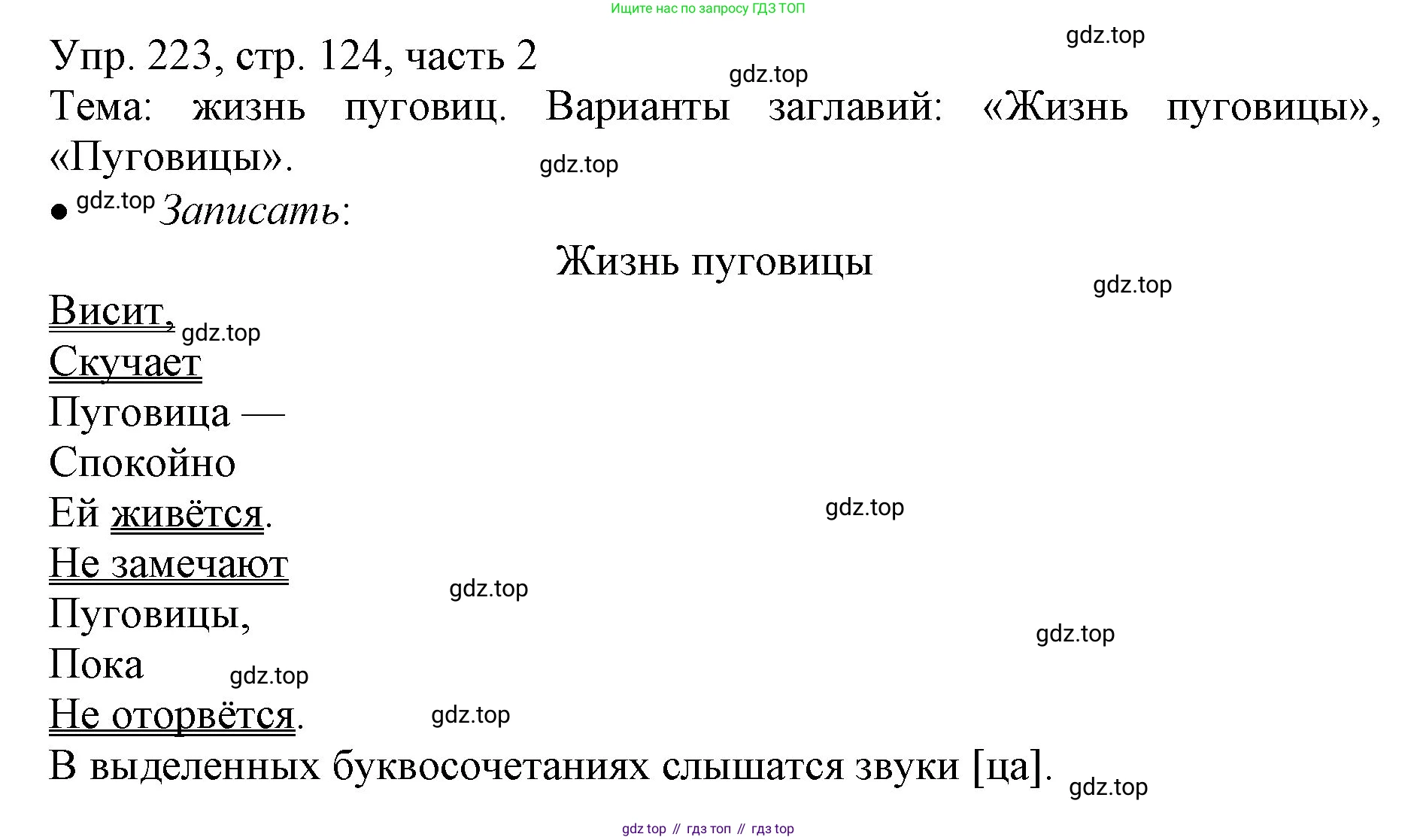 ГДЗ Русский язык, 3 класс Учебник, авторы: Канакина Валентина Павловна, Горецкий Всеслав Гаврилович, издательство Просвещение, Москва, 2023, белого цвета, Часть 2, страница 124, номер 223, Решение