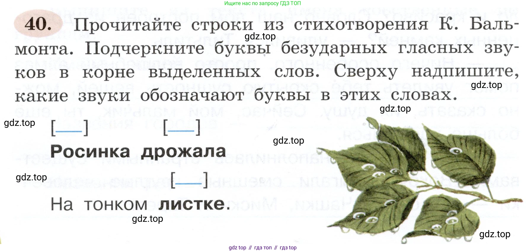 ГДЗ Русский язык, 3 класс рабочая тетрадь, авторы: Климанова Людмила Федоровна, Бабушкина Татьяна Владимировна, издательство Просвещение, Москва, 2019, белого цвета, Часть 1, страница 28, номер 40, Условие