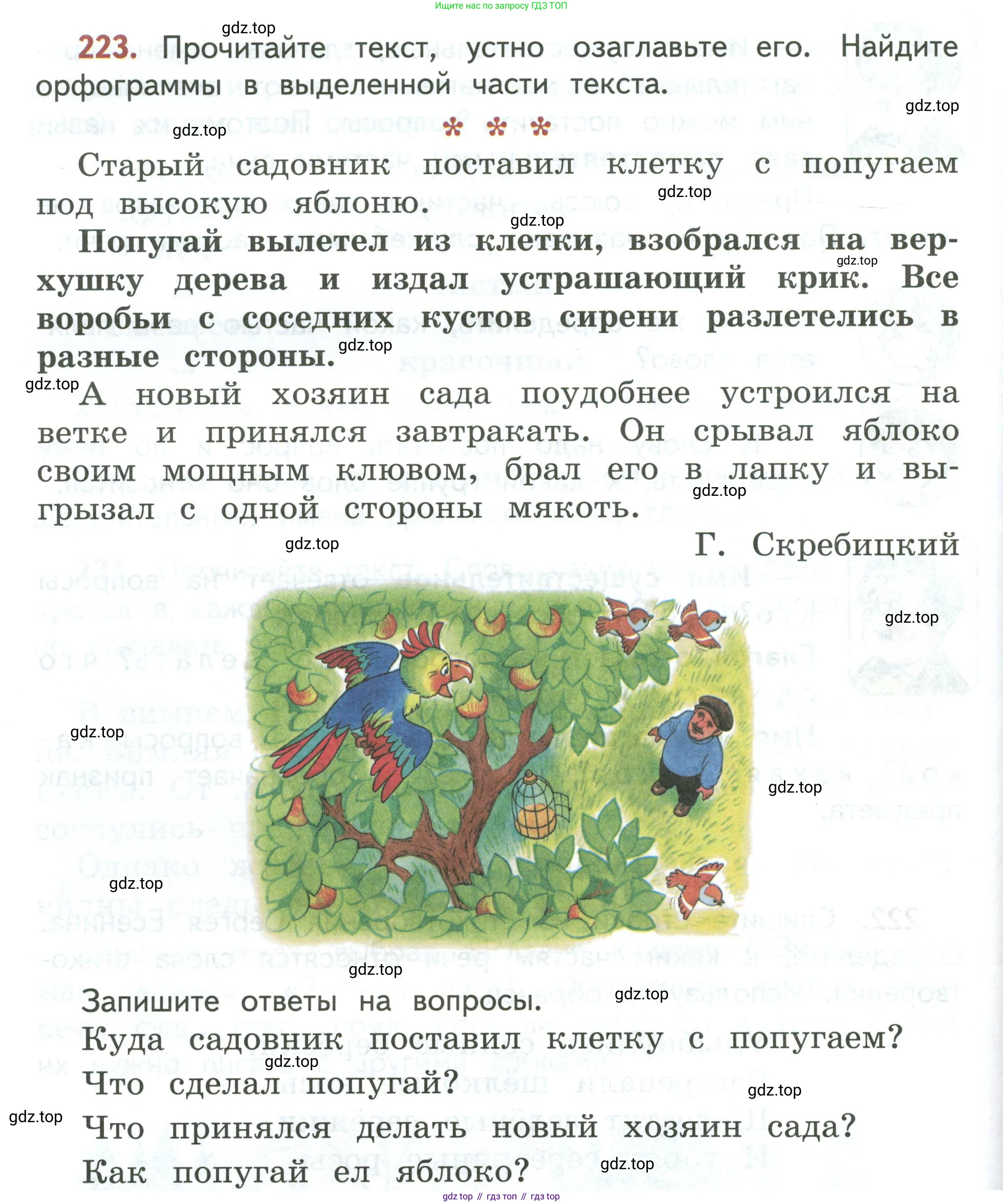 Русский язык, 3 класс Учебник, авторы: Климанова Людмила Федоровна, Бабушкина Татьяна Владимировна, издательство Просвещение, Москва, 2019, белого цвета, Часть 1, страница 128, номер 223, Условие