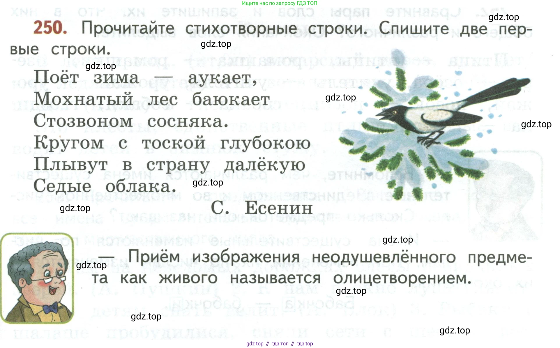 Русский язык, 3 класс Учебник, авторы: Климанова Людмила Федоровна, Бабушкина Татьяна Владимировна, издательство Просвещение, Москва, 2019, белого цвета, Часть 1, страница 145, номер 250, Условие