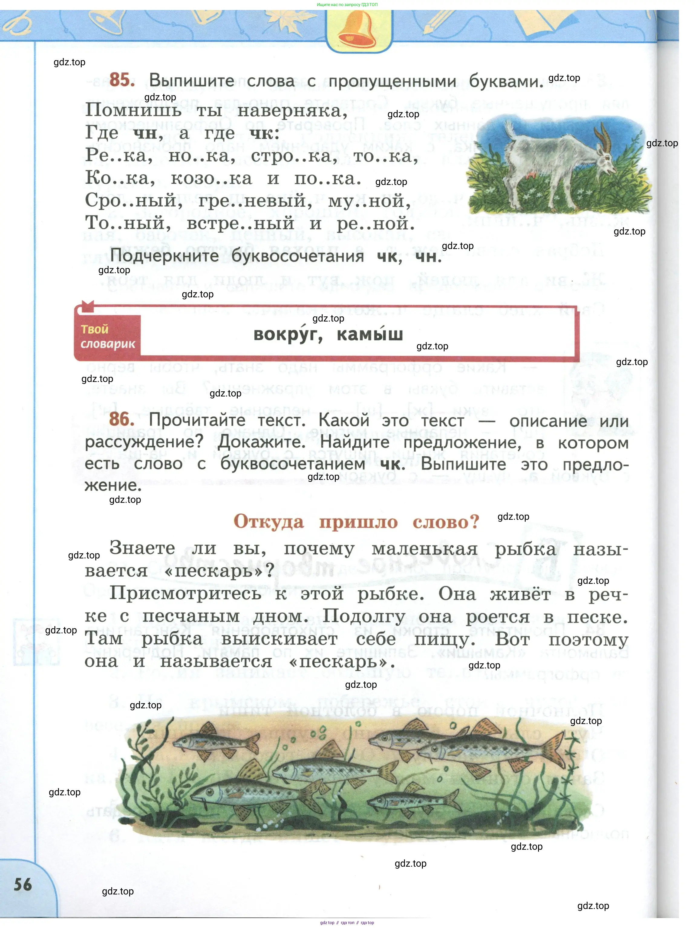 Русский язык, 3 класс Учебник, авторы: Климанова Людмила Федоровна, Бабушкина Татьяна Владимировна, издательство Просвещение, Москва, 2019, белого цвета, Часть 1, страница 56