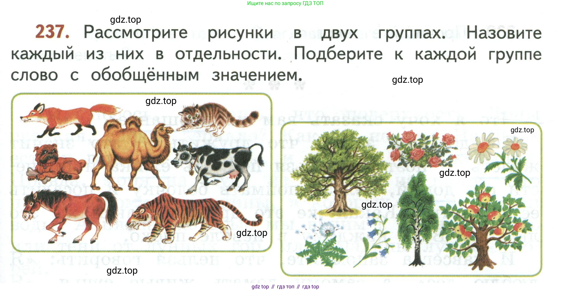 Русский язык, 3 класс Учебник, авторы: Климанова Людмила Федоровна, Бабушкина Татьяна Владимировна, издательство Просвещение, Москва, 2019, белого цвета, Часть 2, страница 141, номер 237, Условие